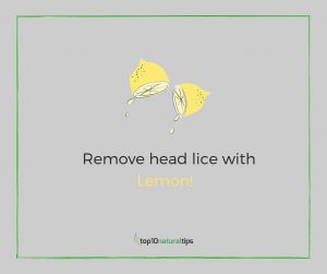 lemon for head lice removal