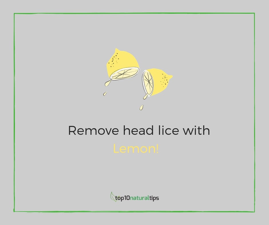 lemon for head lice removal